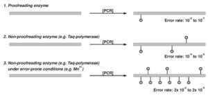 Enhanced mutational rate by error-prone PCR compared to standard PCR reactions.