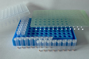 PCR Lyophilisates