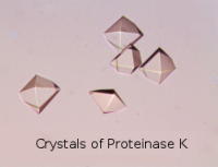 Proteinase K crystals