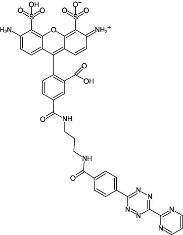 Structural formula of Pyrimidyl-Tetrazine-AF488 (Abs/Em = 494/517 nm, N-(3-Aminopropyl)-4-(6-(pyrimidin-2-yl)-1,2,4,5-tetrazin-3-yl)benzamid - AF488)