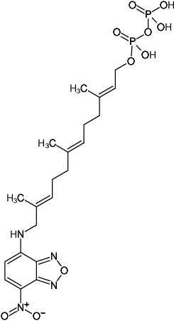 Structural formula of NBD-FPP ({3,7,11-trimethyl-12-(7-nitro-benzo[1,2,5]oxadiazo-4-ylamino),-dodeca-2,6,10-trien-1} pyrophosphate)