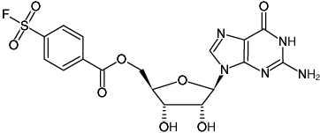 Structural formula of 5'-O-(4-fluorosulfonylbenzoyl)-guanosine ((FSBG))