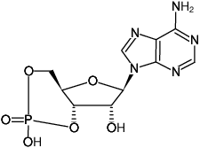 Structural formula of cAMP (Adenosine-3',5'-cyclic monophosphate, free acid)