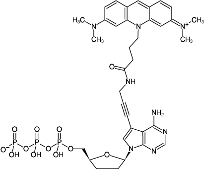 Structural formula of 7-Propargylamino-7-deaza-ddATP-ATTO-495 (7-Deaza-7-propargylamino-2',3'-dideoxyadenosine-5'-triphosphate, labeled with ATTO 495, Triethylammonium salt)