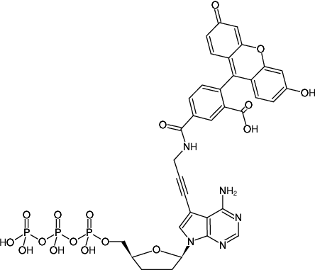 Structural formula of 7-Propargylamino-7-deaza-ddATP-5-FAM (7-Deaza-7-propargylamino-2',3'-dideoxyadenosine-5'-triphosphate, labeled with 5 FAM, Triethylammonium salt)