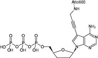 Structural formula of 7-Propargylamino-7-deaza-ddATP-ATTO-665 (7-Deaza-7-propargylamino-2',3'-dideoxyadenosine-5'-triphosphate, labeled with ATTO 665, Triethylammonium salt)