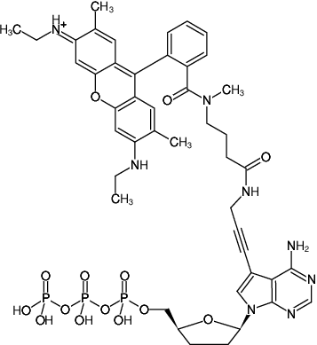 Structural formula of 7-Propargylamino-7-deaza-ddATP-ATTO-Rho6G (7-Deaza-7-propargylamino-2',3'-dideoxyadenosine-5'-triphosphate, labeled with ATTO Rho6G, Triethylammonium salt)