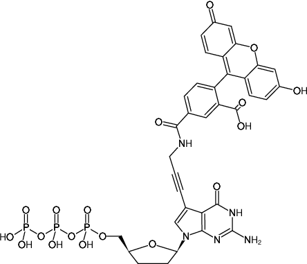 Structural formula of 7-Propargylamino-7-deaza-ddGTP-5-FAM (7-Deaza-7-propargylamino-2',3'-dideoxyguanosine-5'-triphosphate, labeled with 5 FAM, Triethylammonium salt)