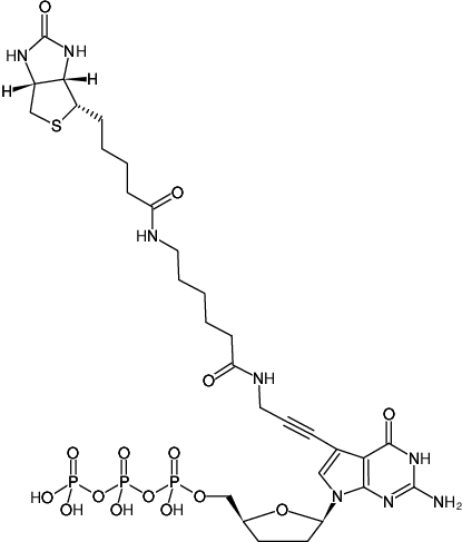 Structural formula of Biotin-11-ddGTP (Biotin-X-7-Propargylamino-7-deaza-ddGTP, γ-[N-(Biotin-6-amino-hexanoyl)]-7-deaza-7-propargylamino-2',3'-dideoxyguanosine-5'-triphosphate, Triethylammonium salt)