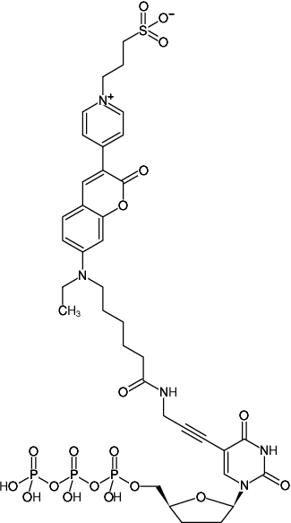 Structural formula of 5-Propargylamino-ddUTP-DY-485XL (5-Propargylamino-2',3'-dideoxyuridine-5'-triphosphate, labeled with DY 485XL, Triethylammonium salt)