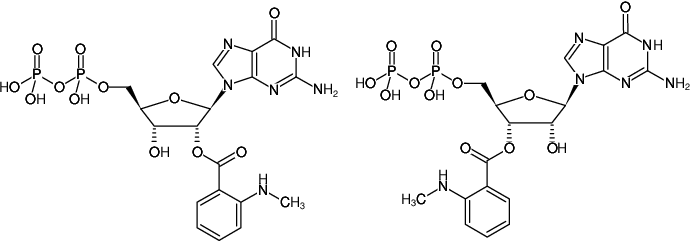Structural formula of Mant-GDP (2'/3'-O-(N-Methyl-anthraniloyl)-guanosine-5'-diphosphate, Triethylammonium salt)
