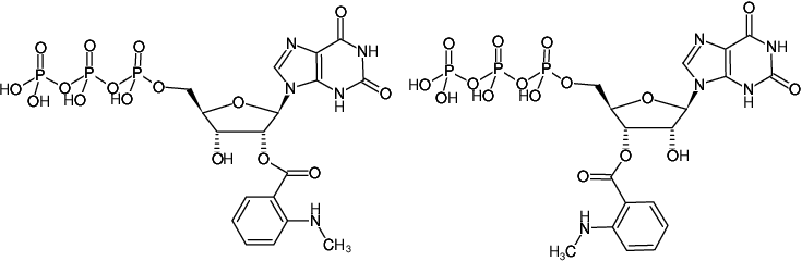 Structural formula of Mant-XTP (2'/3'-O-(N-Methyl-anthraniloyl)-xanthosine-5'-triphosphate, Triethylammonium salt)