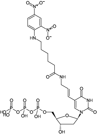 Structural formula of Aminoallyl-dUTP-DNP (Aminoallyl-dUTP - Dinitrophenol, DNP-11-dUTP, 5-(3-Aminoallyl)-2'-deoxyuridine-5'-triphosphate, labeled with Dinitrophenol, Triethylammonium salt)
