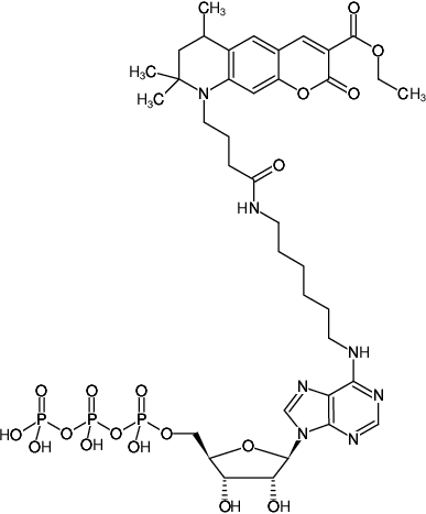 Structural formula of N6-(6-Aminohexyl)-ATP-ATTO-425 (N6-(6-Aminohexyl)-adenosine-5'-triphosphate, labeled with ATTO 425, Triethylammonium salt)