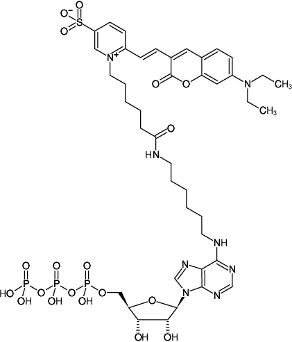 Structural formula of N6-(6-Aminohexyl)-ATP-DY-480XL (N6-(6-Aminohexyl)-adenosine-5'-triphosphate, labeled with DY 480XL, Triethylammonium salt)