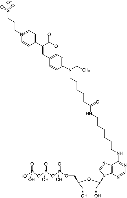 Structural formula of N6-(6-Aminohexyl)-ATP-DY-485XL (N6-(6-Aminohexyl)-adenosine-5'-triphosphate, labeled with DY 485XL, Triethylammonium salt)