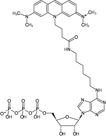 Structural formula of N6-(6-Aminohexyl)-ATP-ATTO-495 (N6-(6-Aminohexyl)-adenosine-5'-triphosphate, labeled with ATTO 495, Triethylammonium salt)