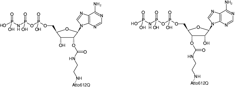 Structural formula of EDA-AppNHp (EDA-AMPPNP)-ATTO-612Q (2'/3'-O-(2-Aminoethyl-carbamoyl)-Adenosine-5'-[(β,γ)-imido] triphosphate, labeled with ATTO 612Q, Triethylammonium salt)