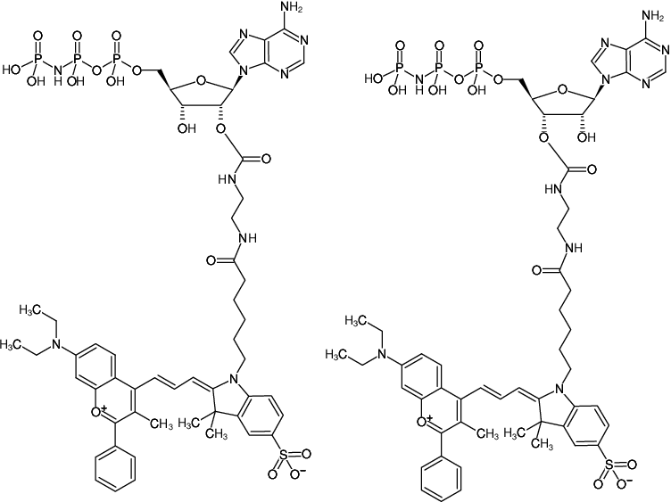 Structural formula of EDA-AppNHp (EDA-AMPPNP)-DYQ-660 (2'/3'-O-(2-Aminoethyl-carbamoyl)-Adenosine-5'-[(β,γ)-imido] triphosphate, labeled with DYQ 660, Triethylammonium salt)