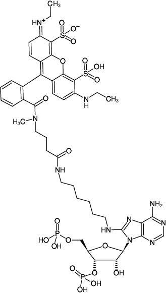 Structural formula of 8-(6-Aminohexyl)-amino-adenosine-3',5'-bisphosphate-ATTO-532 (8-(6-Aminohexyl)-amino-adenosine-3',5'-bisphosphate, labeled with ATTO 532, Triethylammonium salt)