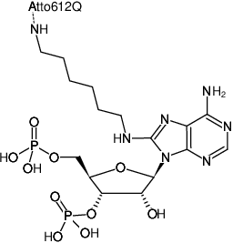 Structural formula of 8-(6-Aminohexyl)-amino-adenosine-3',5'-bisphosphate-ATTO-612Q (8-(6-Aminohexyl)-amino-adenosine-3',5'-bisphosphate, labeled with ATTO 612Q, Triethylammonium salt)