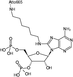 Structural formula of 8-(6-Aminohexyl)-amino-adenosine-3',5'-bisphosphate-ATTO-665 (8-(6-Aminohexyl)-amino-adenosine-3',5'-bisphosphate, labeled with ATTO 665, Triethylammonium salt)