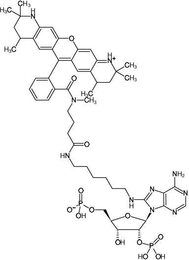 Structural formula of 8-(6-Aminohexyl)-amino-adenosine-2',5'-bisphosphate-ATTO-550 (8-(6-Aminohexyl)-amino-adenosine-2',5'-bisphosphate, labeled with ATTO 550, Triethylammonium salt)