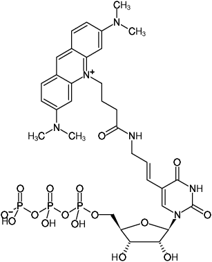 Structural formula of Aminoallyl-UTP-ATTO-495 (5-(3-Aminoallyl)-uridine-5'-triphosphate, labeled with ATTO 495, Triethylammonium salt)