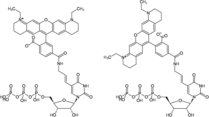 Structural formula of Aminoallyl-UTP-ATTO-565 (5-(3-Aminoallyl)-uridine-5'-triphosphate, labeled with ATTO 565, Triethylammonium salt)