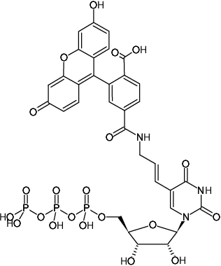 Structural formula of Aminoallyl-UTP-6-FAM (5-(3-Aminoallyl)-uridine-5'-triphosphate, labeled with 6 FAM, Triethylammonium salt)