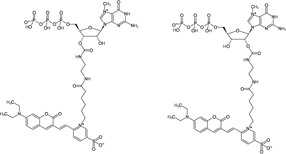 Structural formula of EDA-m7GTP-DY-480XL (2'/3'-O-(2-Aminoethyl-carbamoyl)-7-methyl-guanosine-5'-triphosphate, labeled with DY 480XL, Triethylammonium salt)