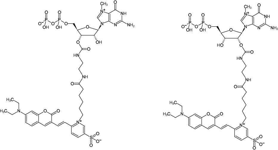 Structural formula of EDA-m7GDP-DY-480XL (2'/3'-O-(2-Aminoethyl-carbamoyl)-7-methyl-guanosine-5'-diphosphate, labeled with DY 480XL, Triethylammonium salt)