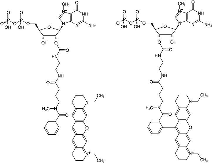Structural formula of EDA-m7GDP-ATTO-Rho11 (2'/3'-O-(2-Aminoethyl-carbamoyl)-7-methyl-guanosine-5'-diphosphate, labeled with ATTO Rho11, Triethylammonium salt)