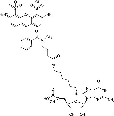 Structural formula of 8-(6-Aminohexyl)-amino-GMP-ATTO-488 (8-(6-Aminohexyl)-amino-guanosine-5'-monophosphate, labeled with ATTO 488, Triethylammonium salt)