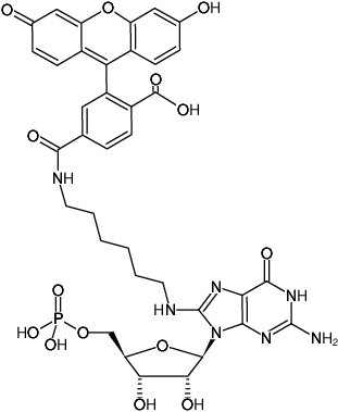 Structural formula of 8-(6-Aminohexyl)-amino-GMP-6-FAM (8-(6-Aminohexyl)-amino-guanosine-5'-monophosphate, labeled with 6 FAM, Triethylammonium salt)