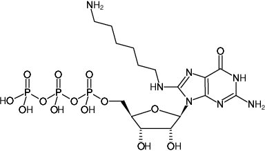 Structural formula of 8-(6-Aminohexyl)-amino-GTP (8-(6-Aminohexyl)-amino-guanosine-5'-triphosphate, Sodium salt)