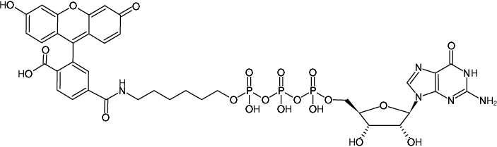 Structural formula of γ-(6-Aminohexyl)-GTP-6-FAM (γ-(6-Aminohexyl)-guanosine-5'-triphosphate, labeled with 6 FAM, Triethylammonium salt)