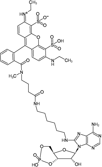 Structural formula of 8-(6-Aminohexyl)-amino-cAMP-ATTO-532 (8-(6-Aminohexyl)-amino-adenosine-3',5'-cyclic monophosphate, labeled with ATTO 532, Triethylammonium salt)