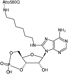 Structural formula of 8-(6-Aminohexyl)-amino-cAMP-ATTO-580Q (8-(6-Aminohexyl)-amino-adenosine-3',5'-cyclic monophosphate, labeled with ATTO 580Q, Triethylammonium salt)
