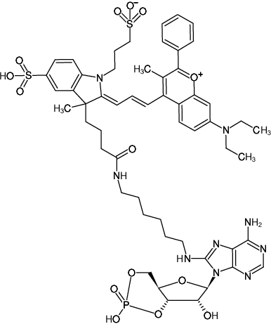 Structural formula of 8-(6-Aminohexyl)-amino-cAMP-DYQ-661 (8-(6-Aminohexyl)-amino-adenosine-3',5'-cyclic monophosphate, labeled with DYQ 661, Triethylammonium salt)