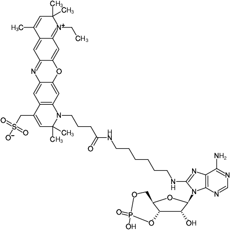 Structural formula of 8-(6-Aminohexyl)-amino-cAMP-ATTO-700 (8-(6-Aminohexyl)-amino-adenosine-3',5'-cyclic monophosphate, labeled with ATTO 700, Triethylammonium salt)