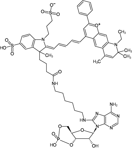 Structural formula of 8-(6-Aminohexyl)-amino-cAMP-DY-776 (8- (6-Aminohexil) -amino-adenosina-3 ', 5'-monofosfato cíclico, marcado com DY 776, sal de trietilamônio)