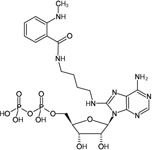 Structural formula of 8-[(4-Amino)butyl]-amino-ADP-MANT ((MABA-ADP), 8-[(4-Amino)butyl]-amino-adenosine-5'-diphosphate, labeled with MANT, Triethylammonium salt)