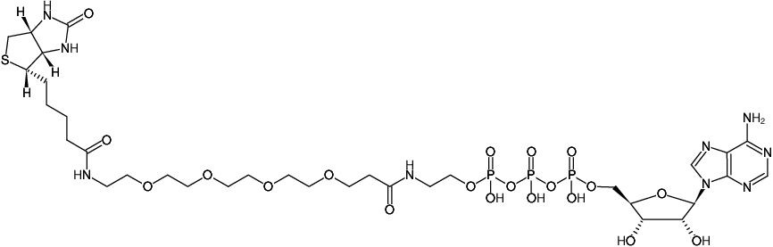Structural formula of γ-[Ethyl-CONH-(PEG4)]-ATP-Biotin (γ-[Ethyl-CONH-(PEG4)]-Adenosine-5'-triphosphate-Biotin, Triethylammonium salt)